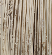 0570c1853cc46ac7c39ea9e54084262