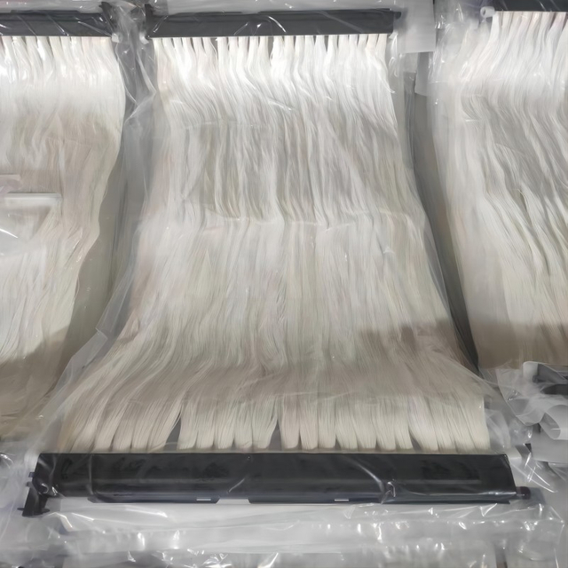Copolímero de etileno-acetato de vinilo PES con fuerte resistencia a los álcalis, 14% de fibra hueca, MBR, membrana de cortina, alta temperatura