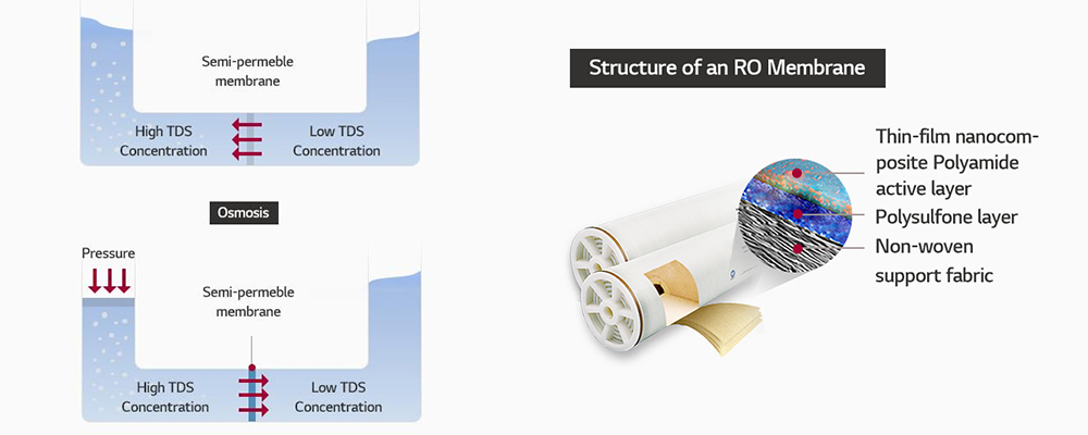 1. Principio de funcionamiento de la membrana Ro