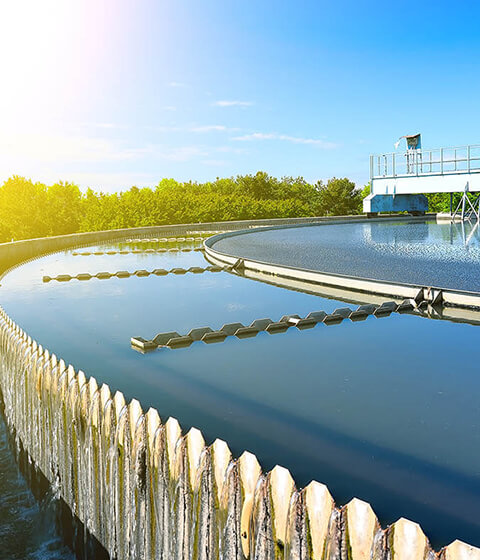 Purificación del agua
