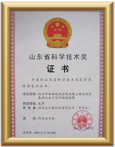 Sistema de Gestión de Seguridad y Salud en el Trabajo