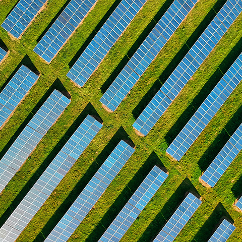 aplicaci&oacute;n (1)