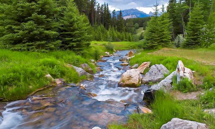 Agua natural